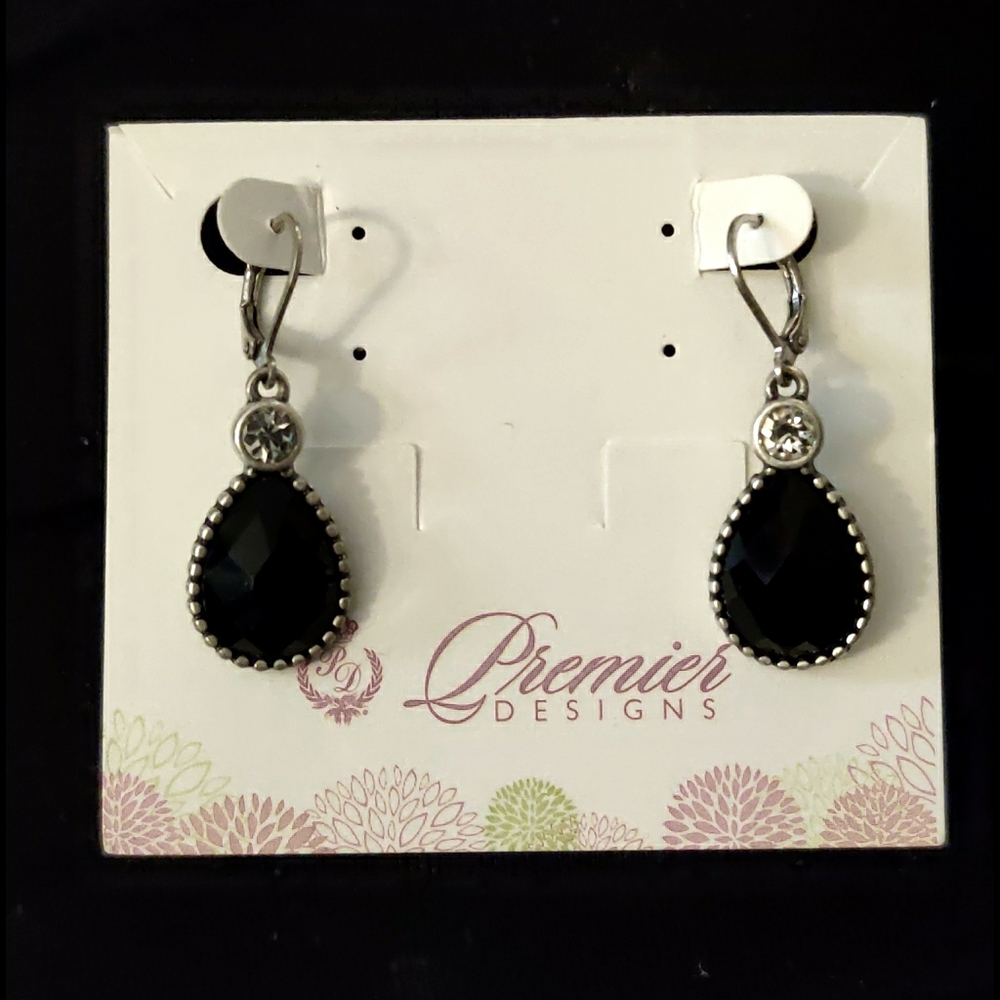 Premier Designs Go Girl earrings